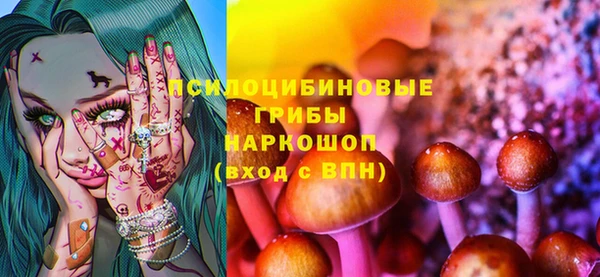 гидра Данков