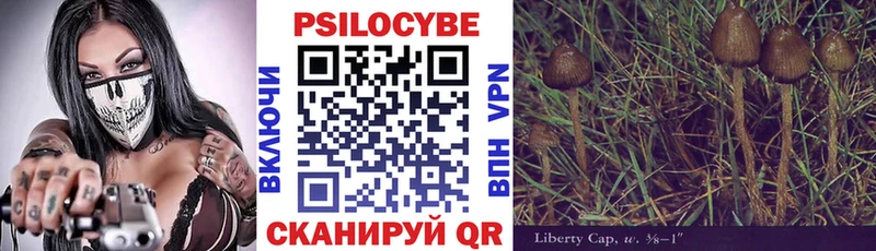 как найти   Руза  Псилоцибиновые грибы Psilocybe 